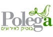 מועדון פולגה